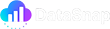 DataSnap Logo
